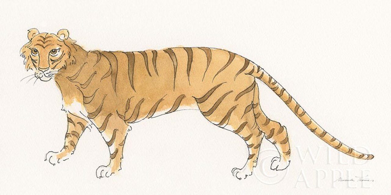 Big Cats I Poster Print by Miranda Thomas - Item # VARPDX53737